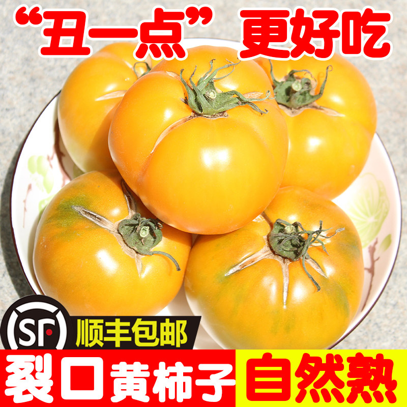【老品种裂口】内蒙古五原黄柿子自然熟黄色西红柿番茄沙瓤新鲜