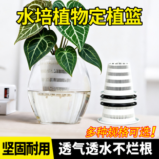 龟背水培篮植物固定篮塑料圆形树脂大鱼缸水养花盆控根种植内挂篮