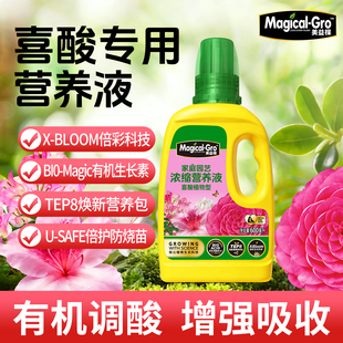 美益棵喜酸型营养液调酸防黄叶杜鹃栀子花茶花茉莉盆栽液体花肥