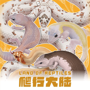 萌卡族爬行大陆卡牌原色睫角守宫异宠龟谷展会同款石龙子收藏卡片