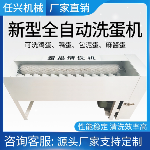 新型全自动泥蛋不锈钢清洗机