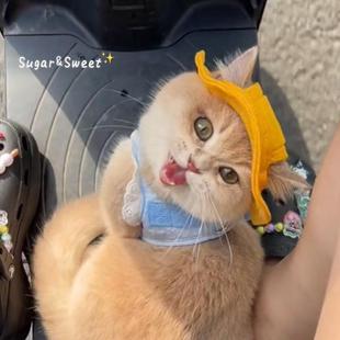 可爱小黄帽猫咪帽子宠物防晒帽外出狗狗渔夫帽头套装 饰品夏日激萌