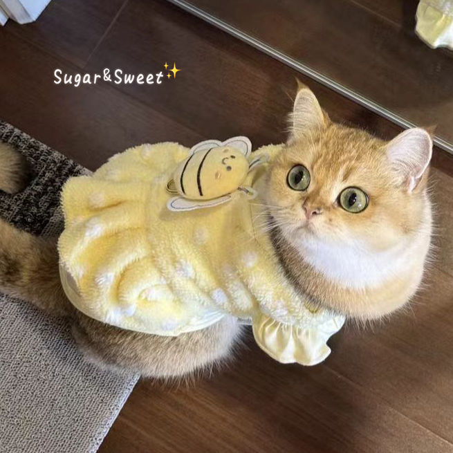 猫咪衣服狗狗服饰宠物春秋可爱新款毛绒蜜蜂假两件比熊泰迪约克夏