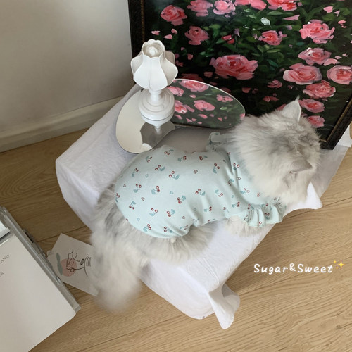 可爱猫咪衣服狗狗背心春夏季薄款花边飞袖樱桃背心宠物泰迪比熊