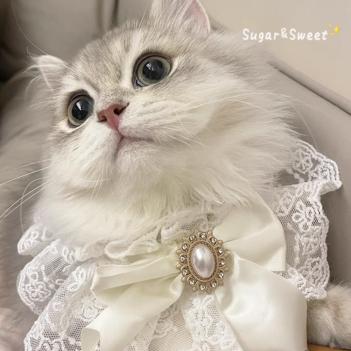 宠物英式贵气围巾白色婚纱猫咪围脖套蕾丝围嘴狗狗口水巾公主风,宠物/宠物食品及用品,围巾/口水巾,淘宝优惠券,粉丝福利购,淘宝优惠卷