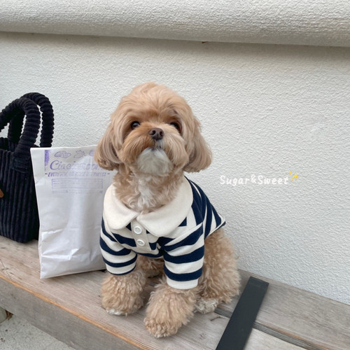 狗狗猫咪衣服小型犬T恤