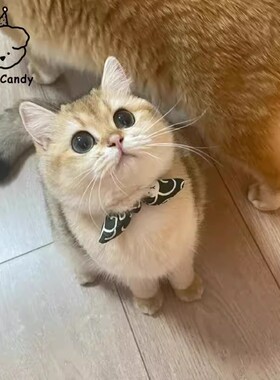 狗狗猫咪项圈脖圈宠物围脖柴犬和风装饰品大小型犬领结口水巾围兜