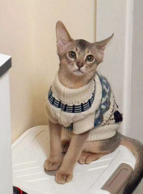 猫咪衣服费尔岛菱格毛衣秋冬保暖贴身米色宠物服饰阿比尼亚英短猫
