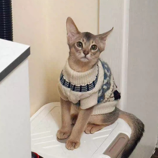 猫咪衣服费尔岛菱格毛衣秋冬保暖贴身米色宠物服饰阿比尼亚英短猫