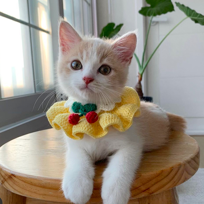 猫咪宠物围巾口水饰品项圈狗狗