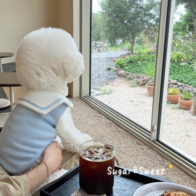 海军领背心秋季薄款小狗狗衣服