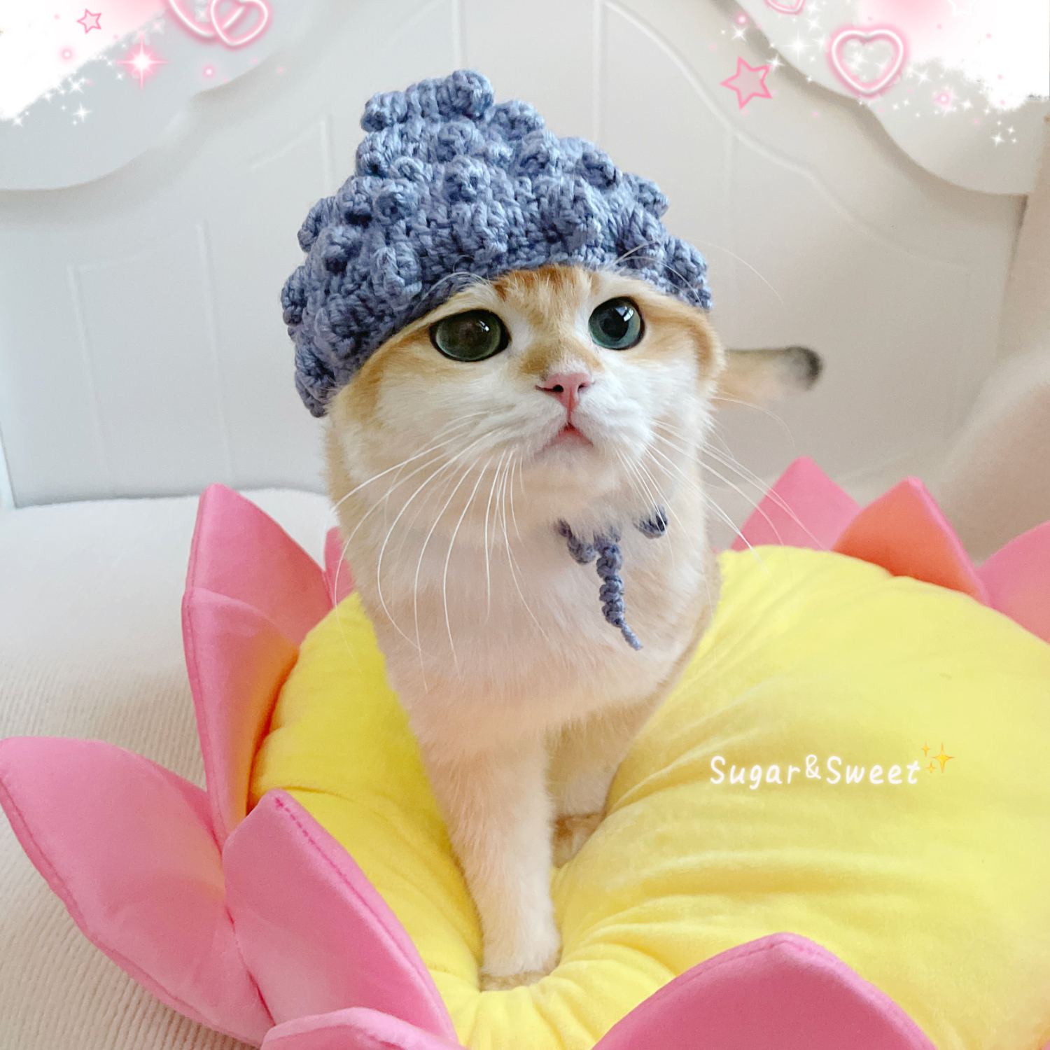 宠物变装帽搞笑佛祖帽子猫咪狗狗头套手工编织毛线帽西游唐僧头饰