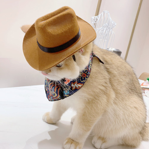 猫咪牛仔帽宠物头饰品西部