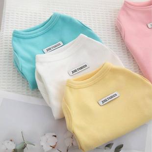 猫咪背心狗狗衣服春夏秋宠物金渐层布偶德文保暖防掉毛可爱幼小猫