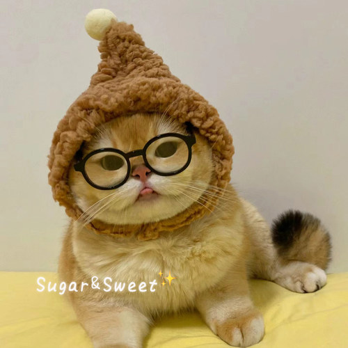 宠物狗狗帽子猫咪头套可爱巫师帽搞笑头饰小狗小猫装饰金渐层英短