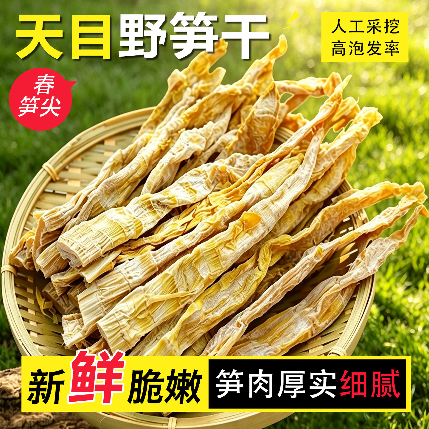 杭州特产野笋春笋尖干度明显天目笋干