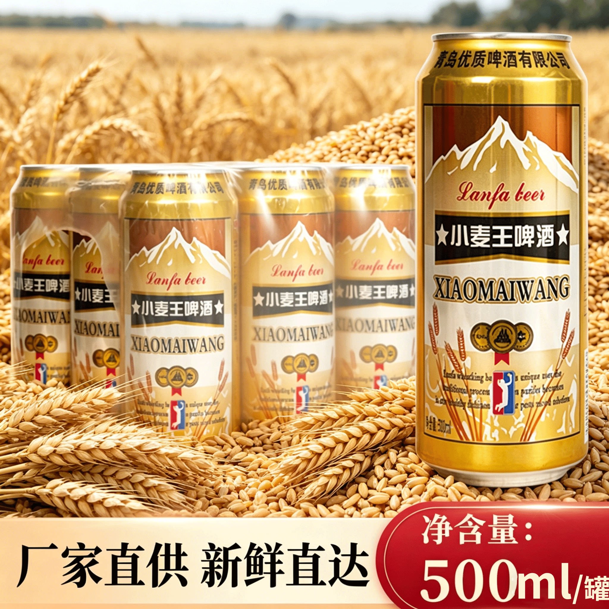 小麦王啤酒500ml*9罐整箱装厂家直供发新鲜烧烤夜市露营醇厚搭档