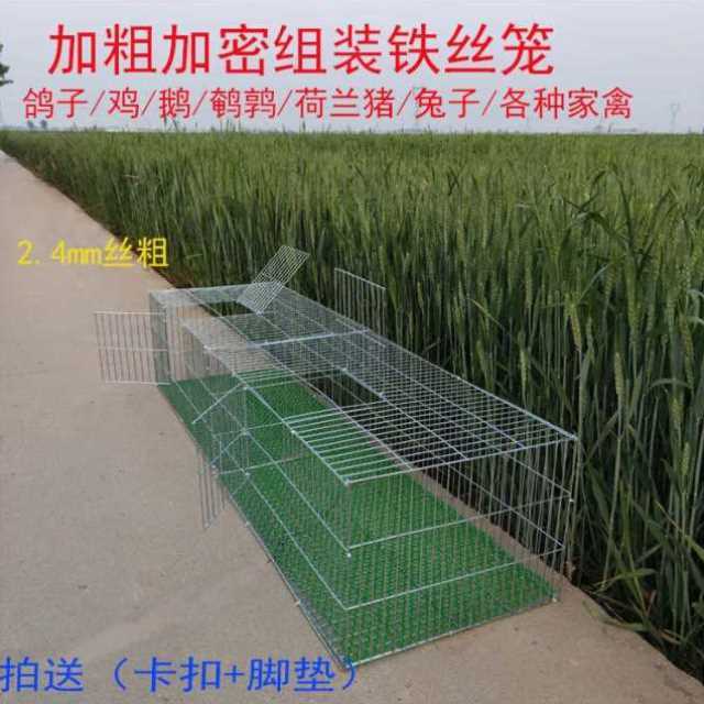 睿富加粗兔笼兔子笼子鸽子笼家用养殖笼鸡笼镀锌铁丝笼运输特大号
