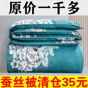 100%正品 双人空调夏凉被学生单人宿舍被冬被冬天棉被芯 蚕丝被夏季