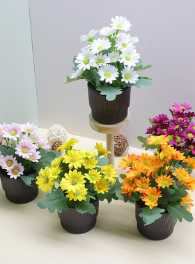 小盆栽仿真假花摆件家居客厅茶几摆设塑料假花套装小雏菊装饰品