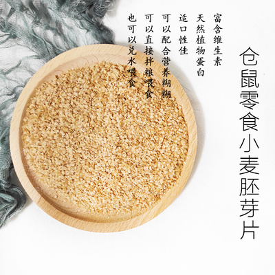 仓鼠零食小麦胚芽片粉营养糊糊