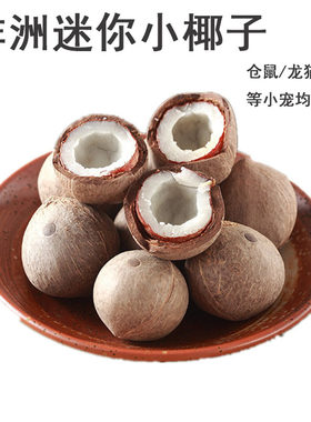 仓鼠金丝熊零食非洲迷你小椰子