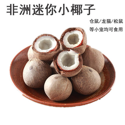 仓鼠金丝熊零食非洲迷你小椰子仓鼠兔子鹦鹉磨牙用品营养互动零食