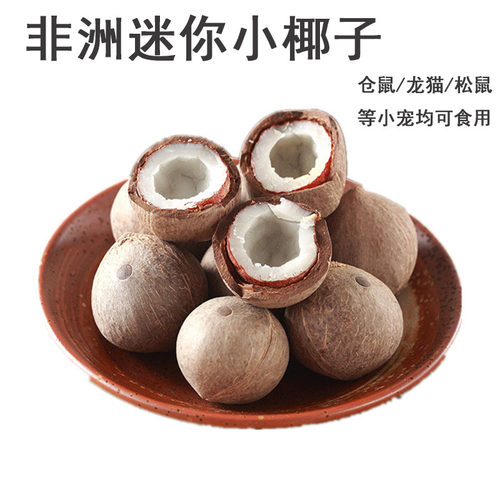 仓鼠金丝熊零食非洲迷你小椰子仓鼠兔子鹦鹉磨牙用品营养互动零食