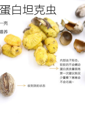 仓鼠金丝熊蜜袋鼯零食高蛋白坦克虫活体活虫飞鼠沙鼠增肥零食用品