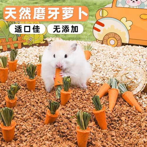 仓鼠胡萝卜磨牙棒豚鼠兔子小零食