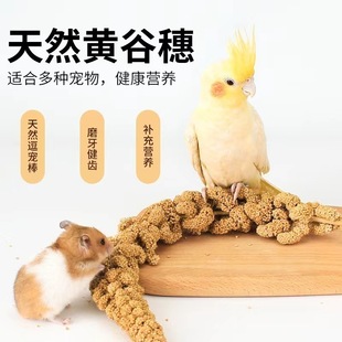 仓鼠用品金丝熊零食黄谷穗逗鼠棒培养感情仓鼠主粮配粮造景玩具