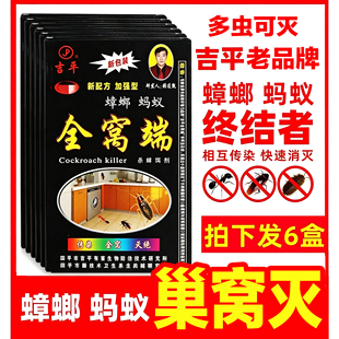 吉平跳蚤药灭蟑螂药捕捉器除杀蚂蚁灭蟑粉状饵剂蟑螂胶饵屋灭蟑药