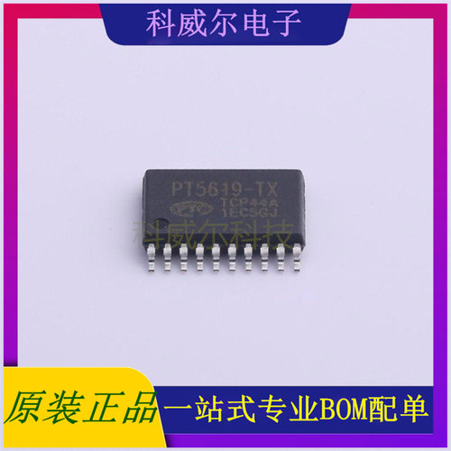 PT5619 封装TSSOP-20PTC(台湾普诚)电机驱动芯片 全新原装