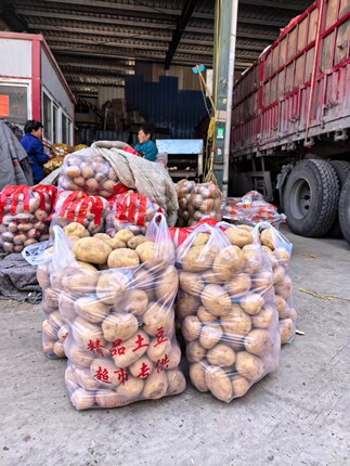 土豆专用防雾袋装50斤土豆打孔防雾袋高压透明精品土豆超市专供袋