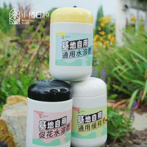 小椿日和促进吸收观叶水溶肥