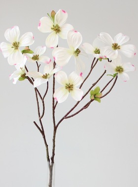 新中式禅意枸木花枸目花四照花山茱萸dogwood仿真花绢花装饰花批