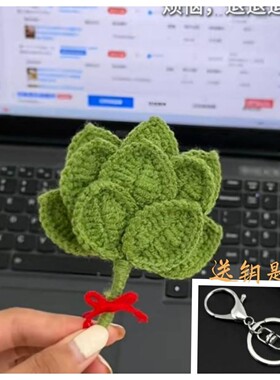 柚子叶挂件包包钥匙扣汽车碌柚叶挂件手工DIY简单钩织毛线材料包