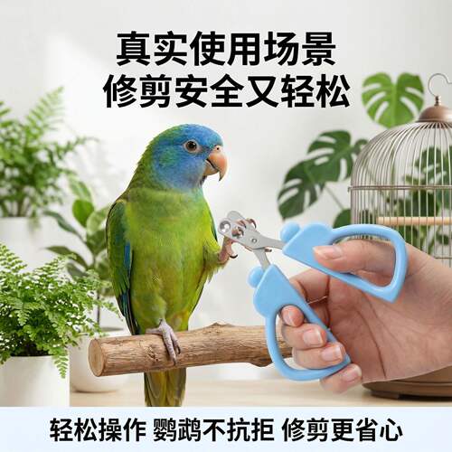 宠帮仕小型鹦鹉专用指甲剪