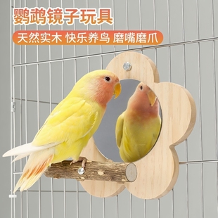 鹦鹉用品花椒木站架鹦鹉镜子啃咬站台鸟笼站架杆虎皮牡丹玄凤玩具