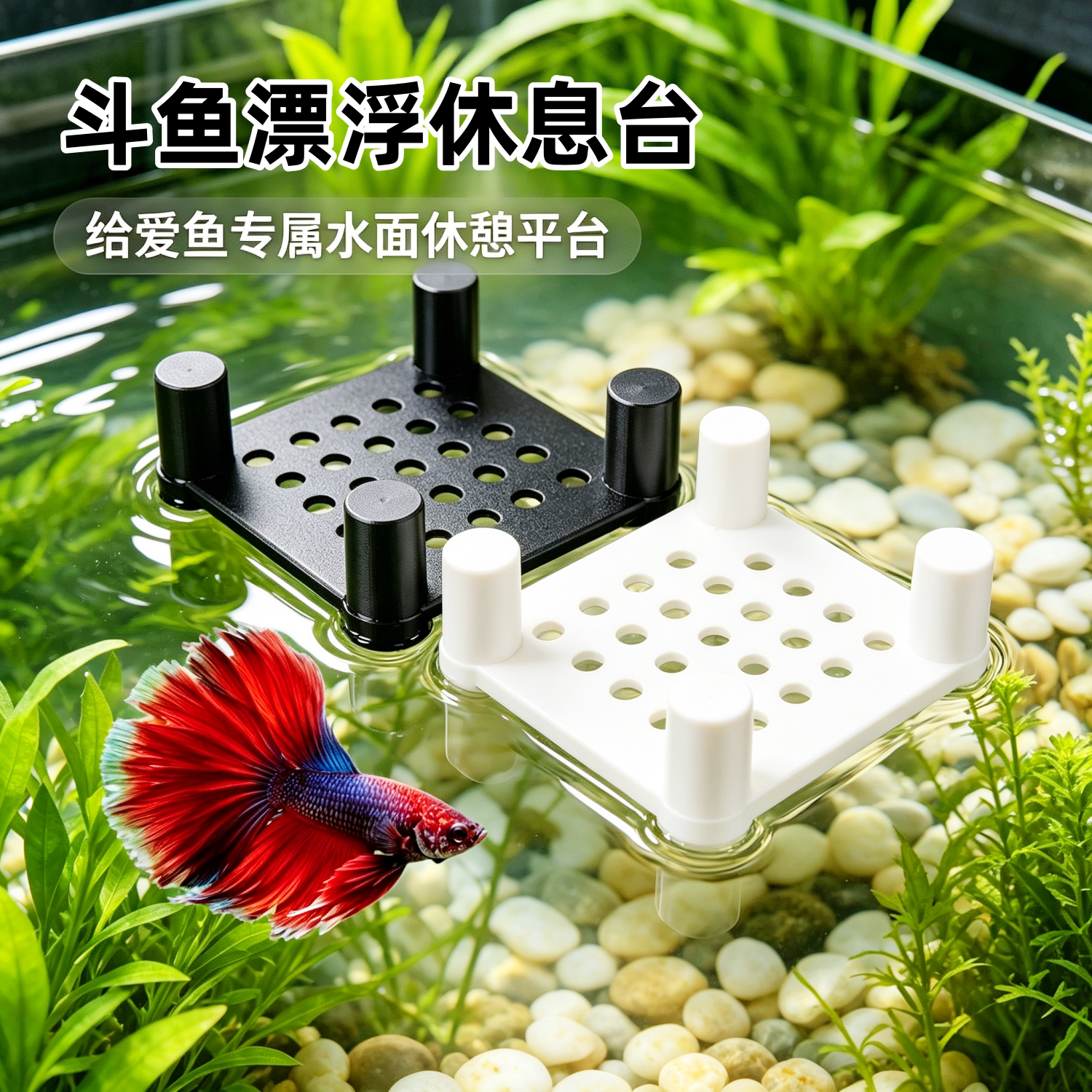 斗鱼多孔透水鱼缸漂浮躲避床
