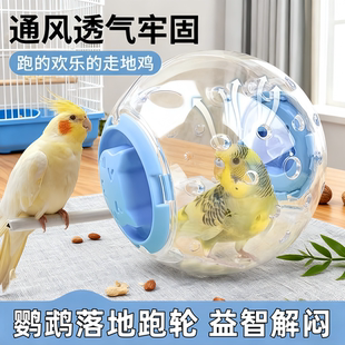 鹦鹉仓鼠跑轮跑球鹦鹉玩具用品大全仓鼠球鹦鹉球解闷玩具仓鼠滚轮