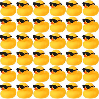 24PCS Duck Toys Mini Rubber Ducks Squeak and Float Duc