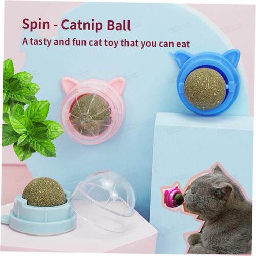Catnip Wall Ball Cat Toys Pet Toys for Cats Clean Mouth Prom