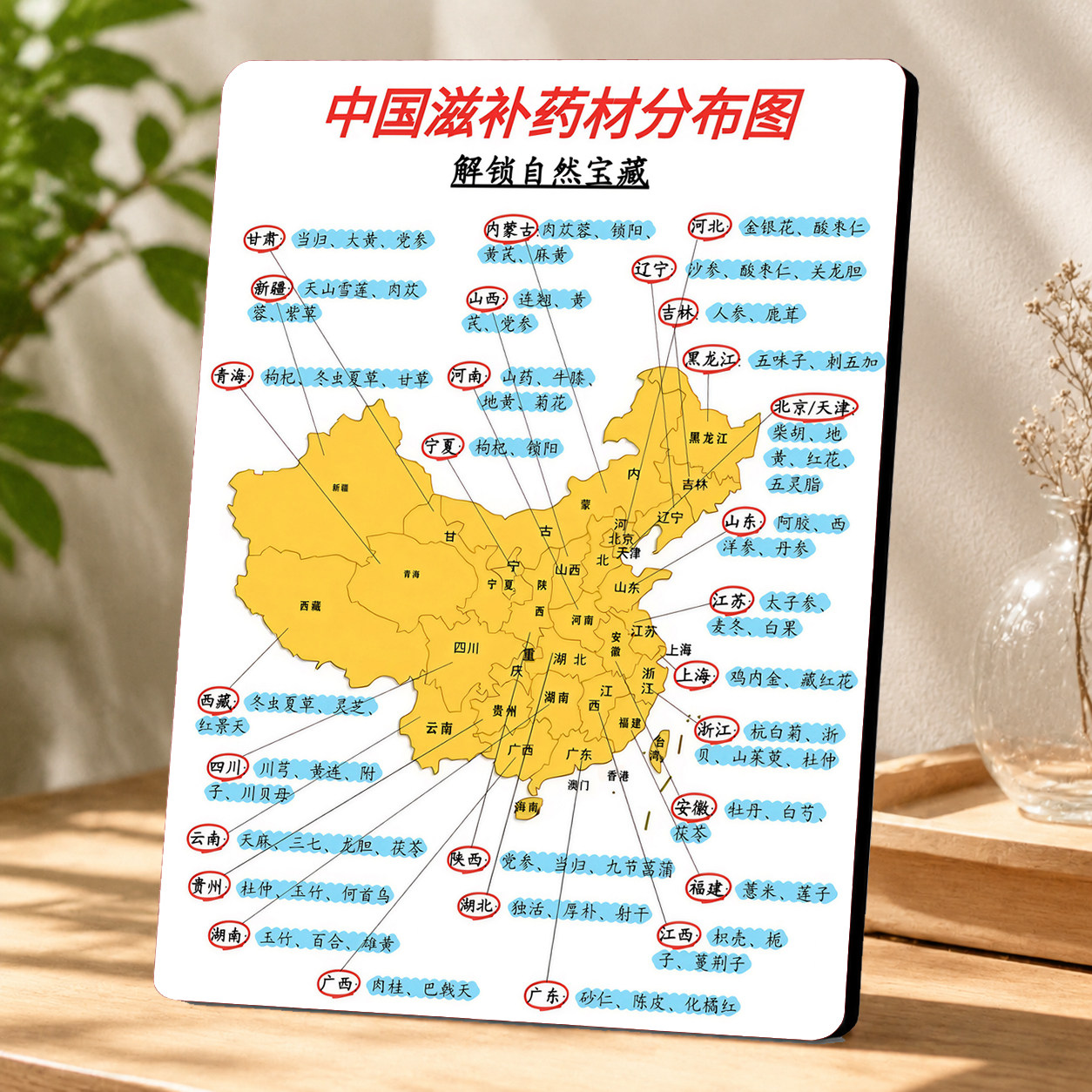 中国滋补药材分布图装饰摆件中医馆养生馆桌面创意装饰摆台