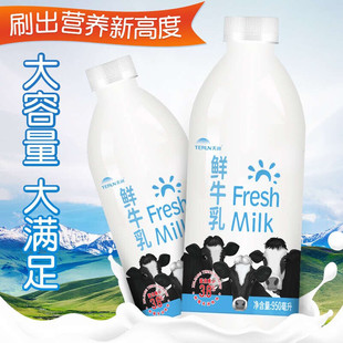 天润鲜牛乳新疆纯牛奶巴氏低温鲜奶儿童早餐奶950g大瓶家庭装
