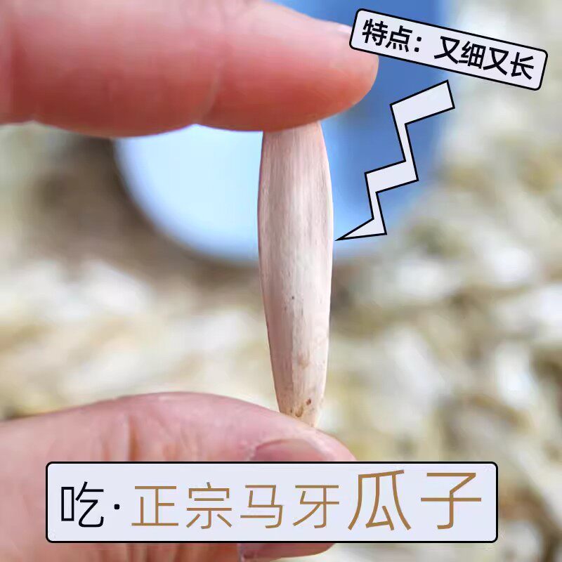 北亩时倾马牙瓜子原味500g*1袋