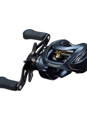 Daiwa达亿瓦渔线轮23年 史帝兹 Steels A II TW 1000 日本直邮