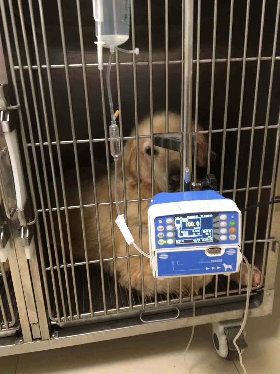 恒丰好克宠物兽用输液泵