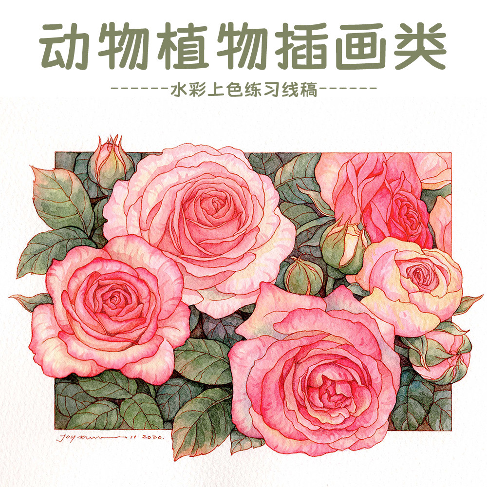 手慢星球水彩线稿动物植物插画清新花卉填色上色解压涂色宝虹水彩