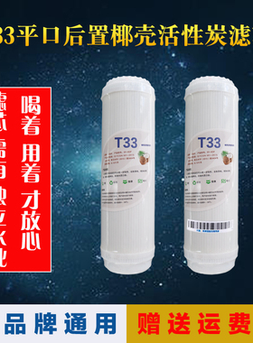 10寸 通用平口T33后置椰壳活性炭滤芯纯水机净水器